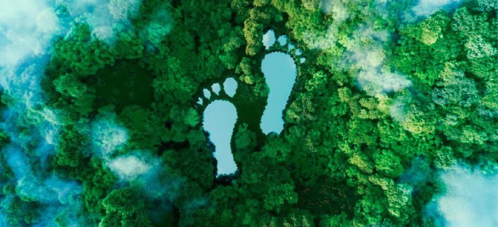 tip-mexico-y-pronatura-apuestan-por-compensar-las-emisiones-de-carbono-en-el-sector-transporte