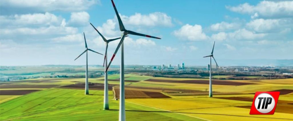 Tip México Y Pronatura Apuestan Por Compensar Las Emisiones De Carbono Tip México Y Pronatura Apuestan Por Compensar Las Emisiones De Carbono