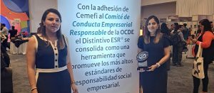 Voluntarios de TIP México participando en el proyecto de reforestación en el Cerro del Ehécatl.