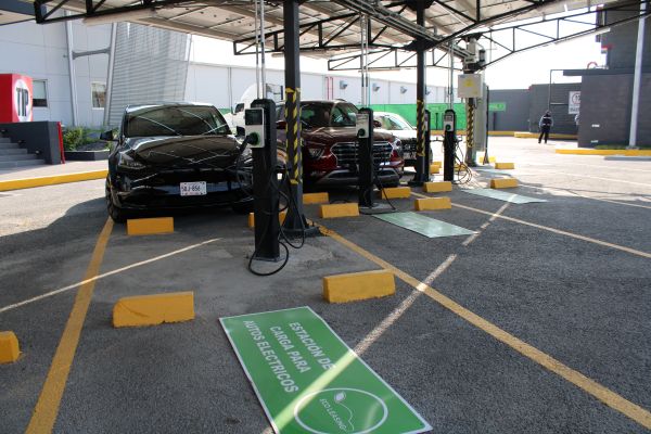 Cargadores electricos TIP